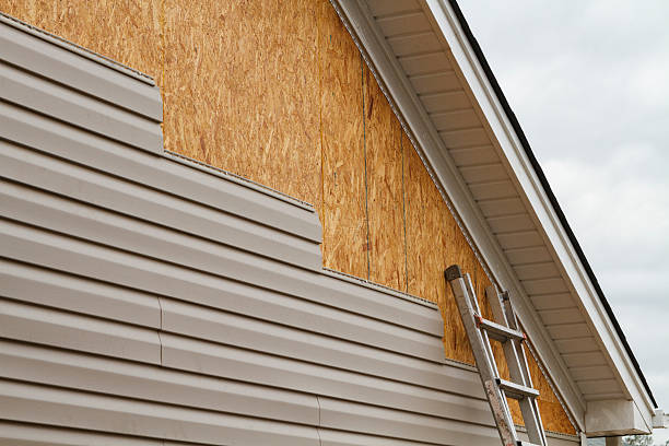 Professional Emergency Siding Repair technician working in Williamstown, KY